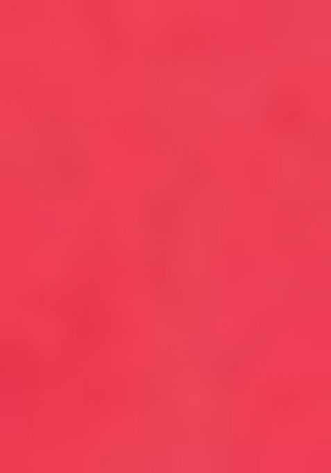 Reddish Pink Floral Silk Saree Set