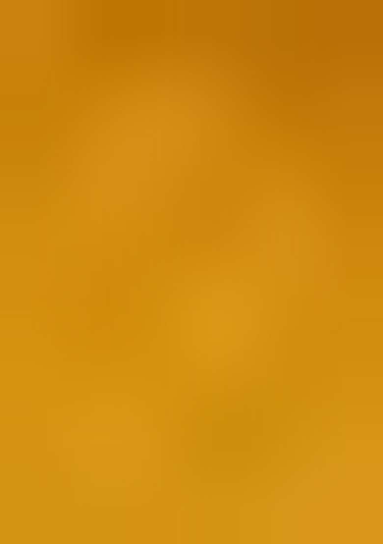 Golden Yellow Silk Blend Saree Set with Embroidered for Diwali | Wedding & Festive Wear - Indya