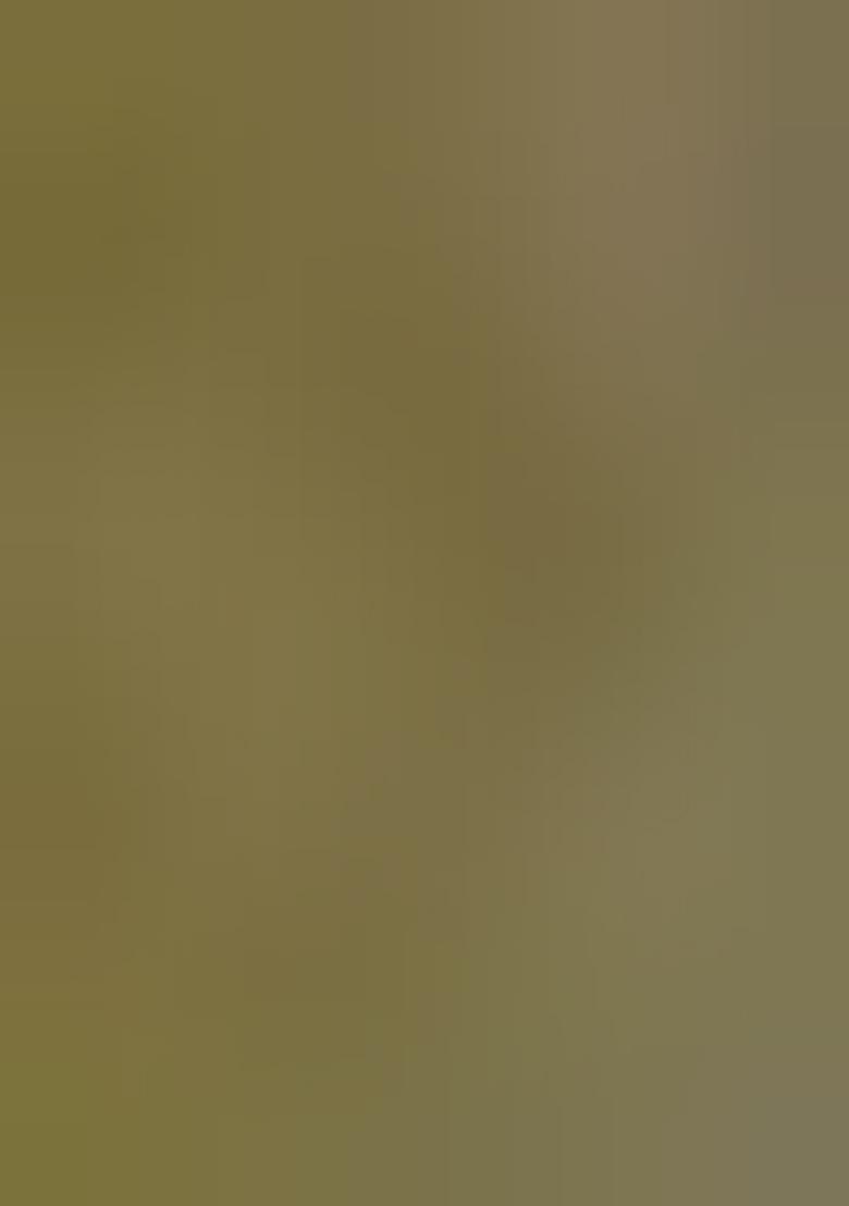 Mahendi Green Woven Silk Saree Set - Indya