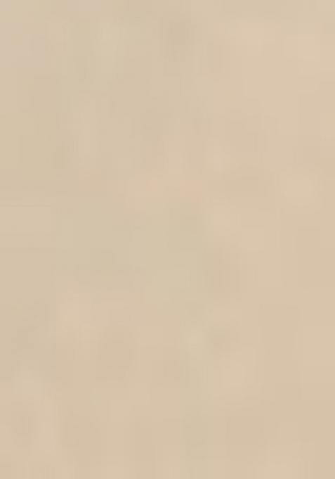 Cream Woven Silk Saree Set