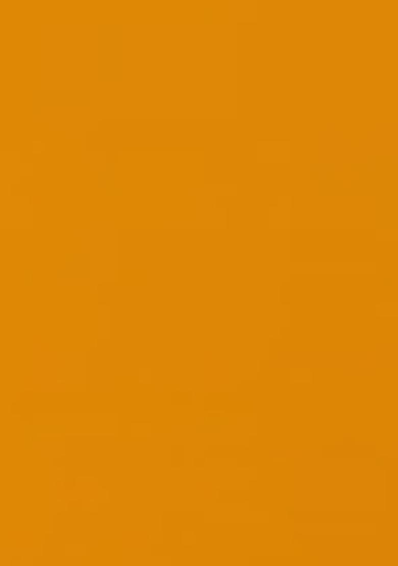 Yellow Zari Work Border Poly Blended Saree Set