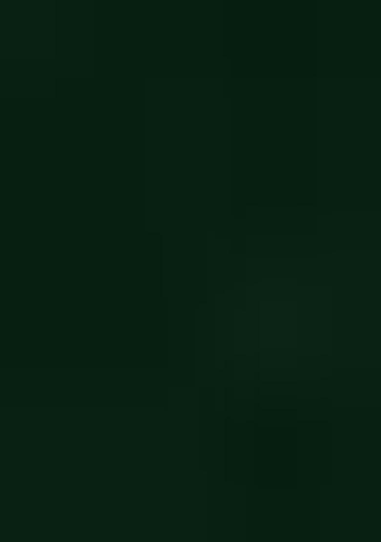 Green Zari Work Border Poly Blended Saree Set