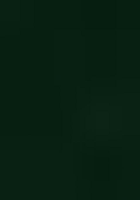 Green Zari Work Border Poly Blended Saree Set