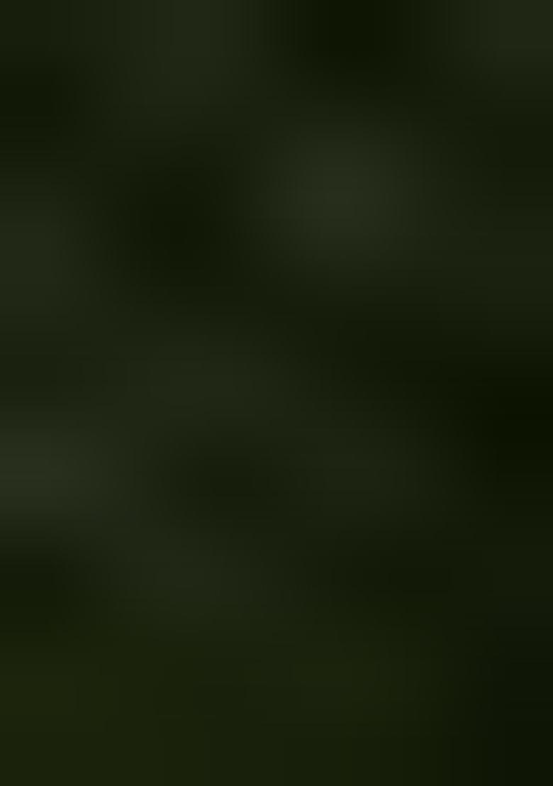 Green Zari Work Border Poly Blended Saree Set