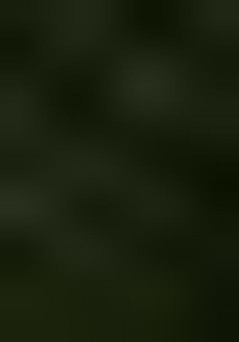 Green Zari Work Border Poly Blended Saree Set