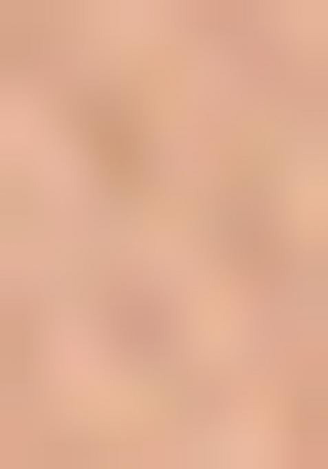 Tan Jamdani Silk Saree Set