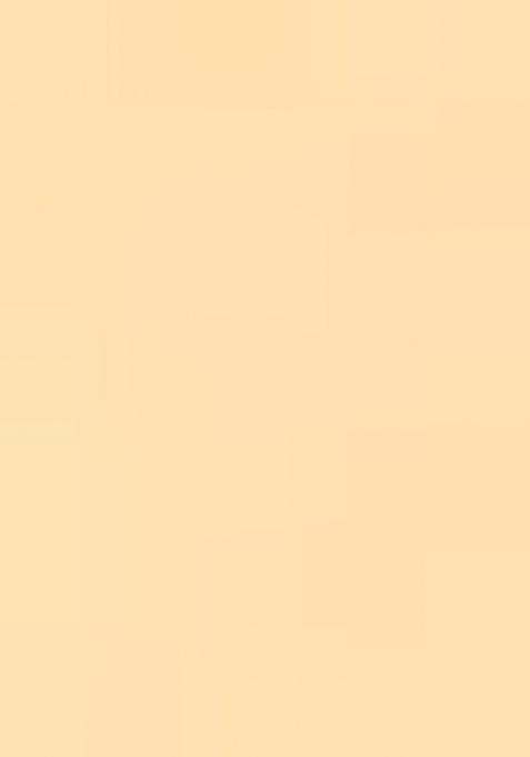 Beige Handloom Silk Saree Set