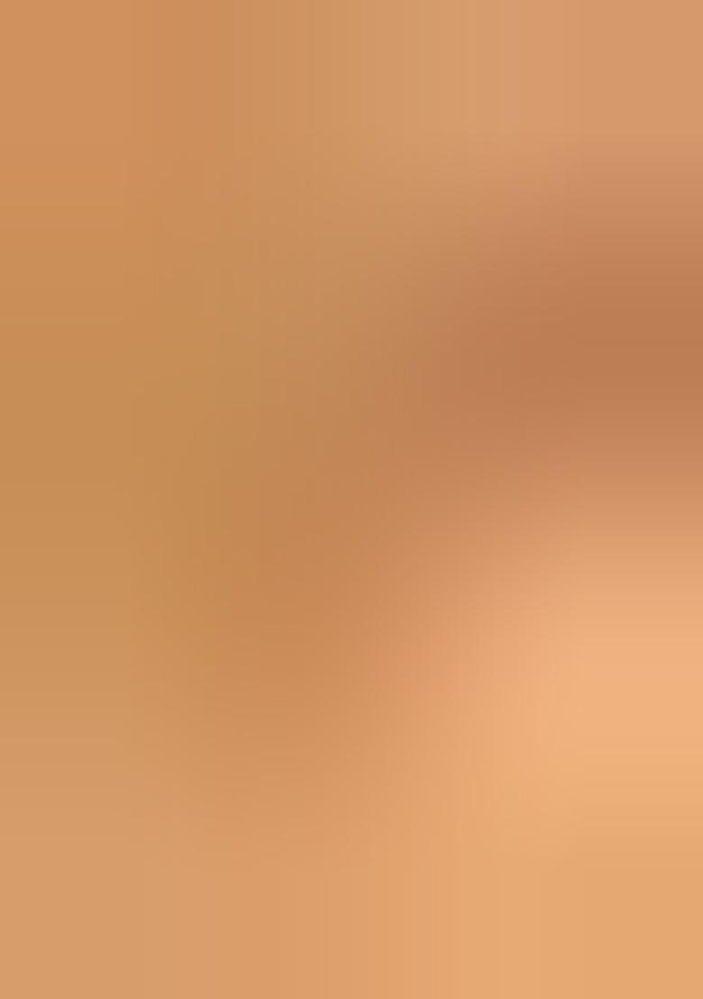 Beige Handloom Tissue Saree Set