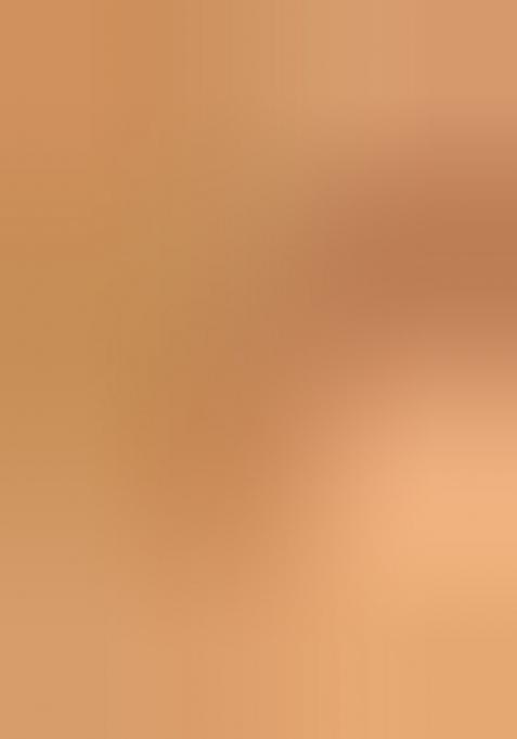 Beige Handloom Tissue Saree Set