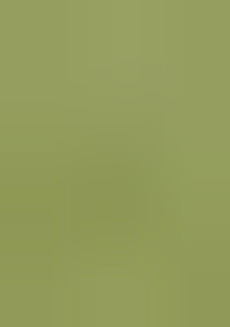 Mehendi Embroidered Silk Saree Set