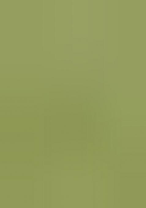 Mehendi Embroidered Silk Saree Set