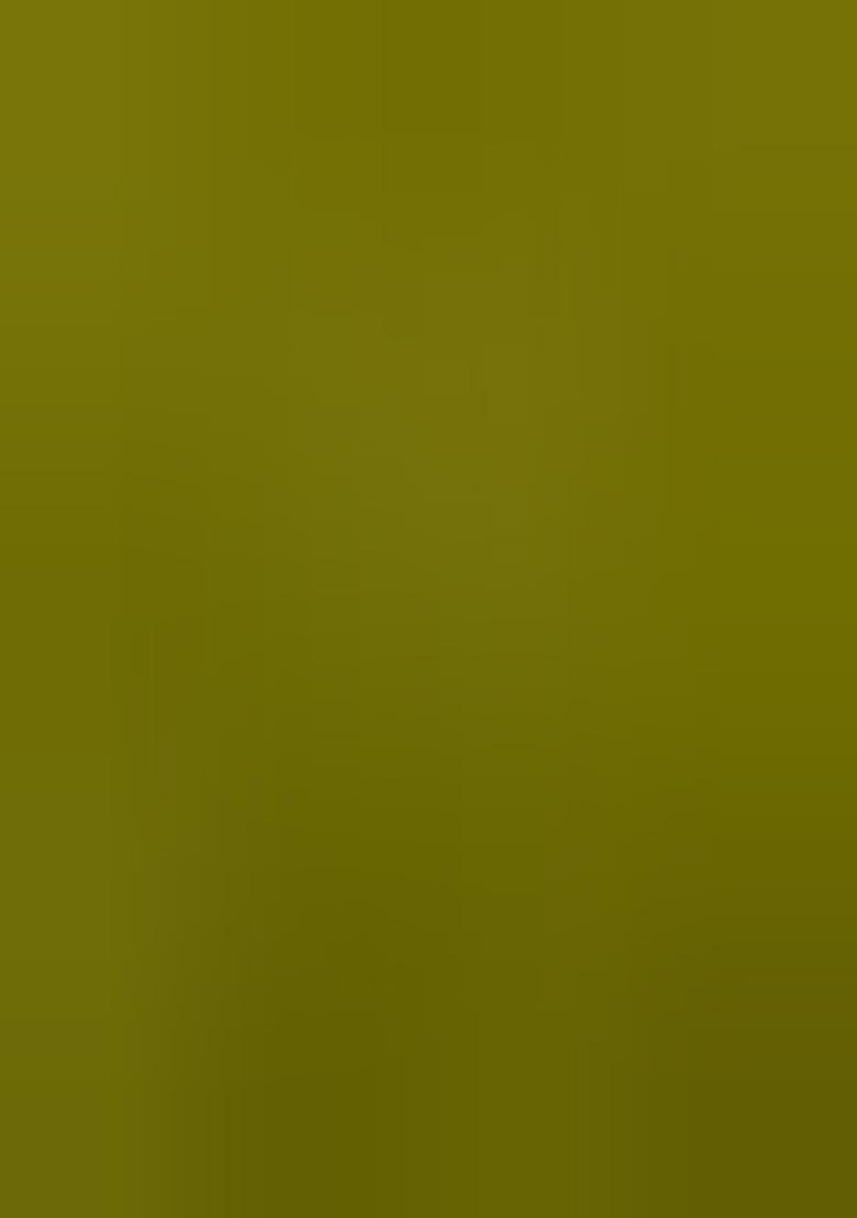 Mehendi Embroidered Silk Saree Set