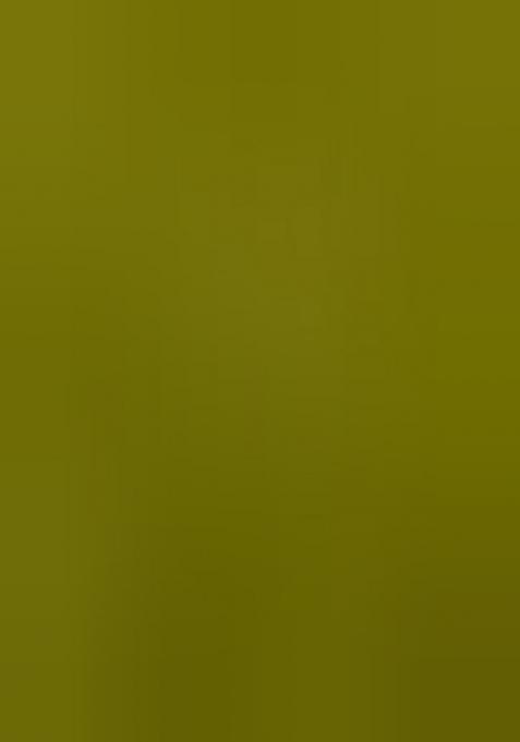 Mehendi Embroidered Silk Saree Set