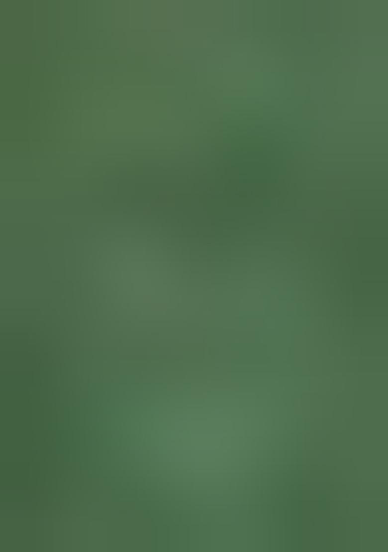 Green Embroidered Silk Saree Set