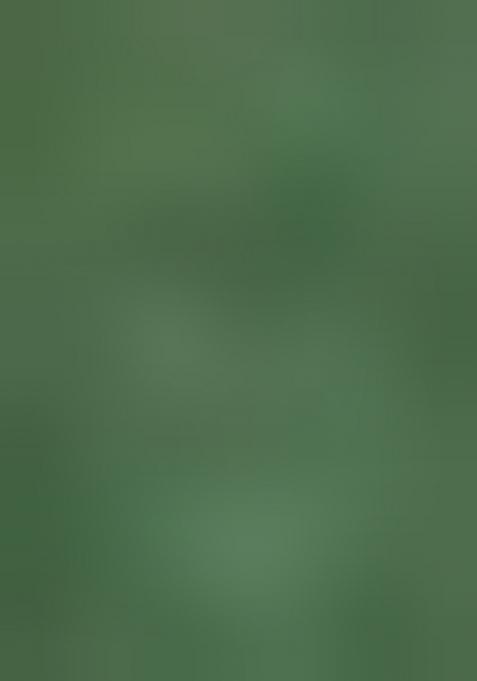 Green Embroidered Silk Saree Set