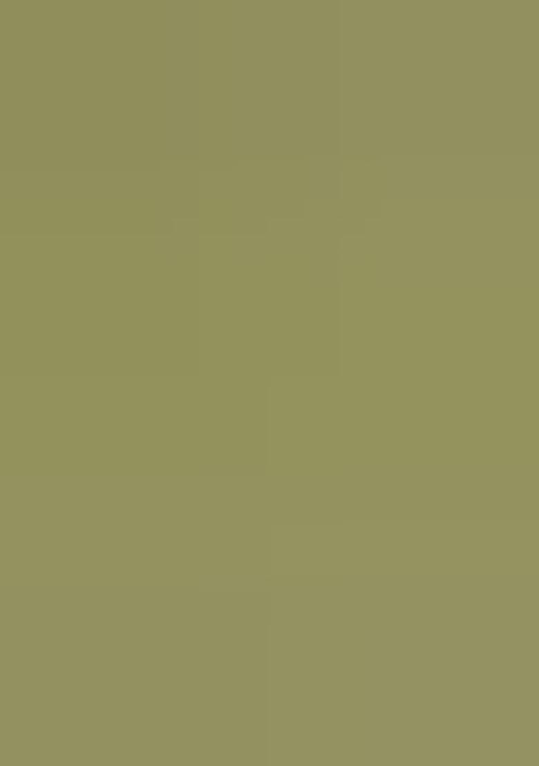 Mehendi Embroidered Silk Saree Set