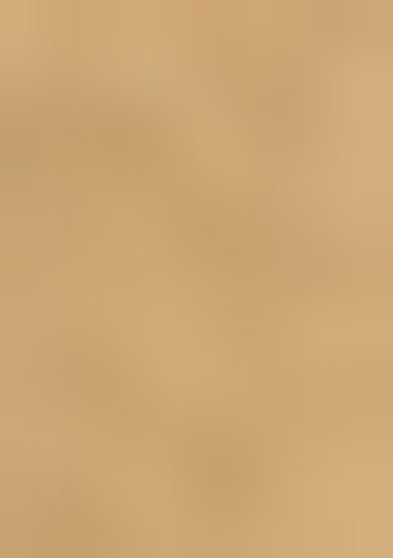 Khaki Embroidered Cotton Saree Set - Indya