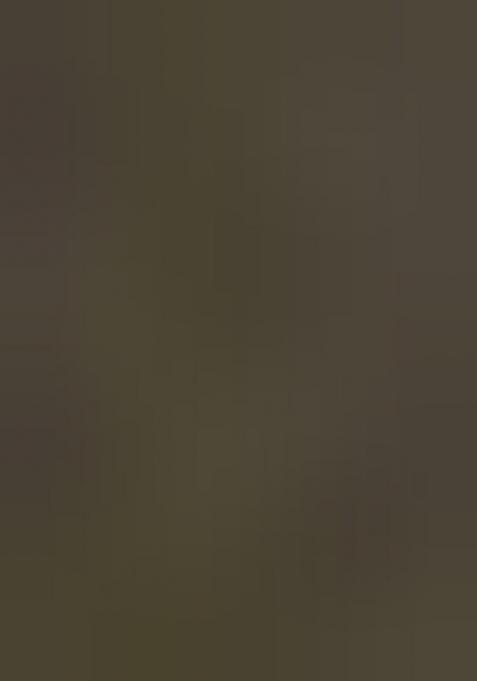 Mehendi Embroidered Silk Saree Set