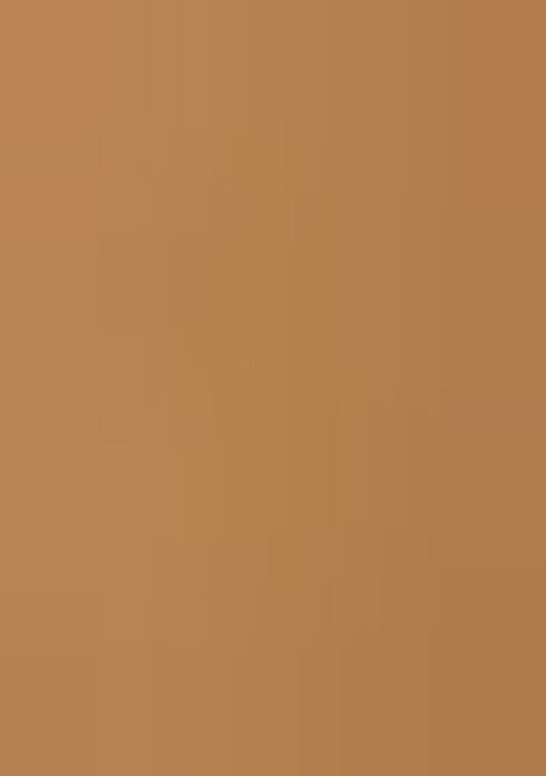 Khaki Embroidered Silk Saree Set