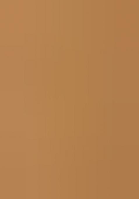 Khaki Embroidered Silk Saree Set