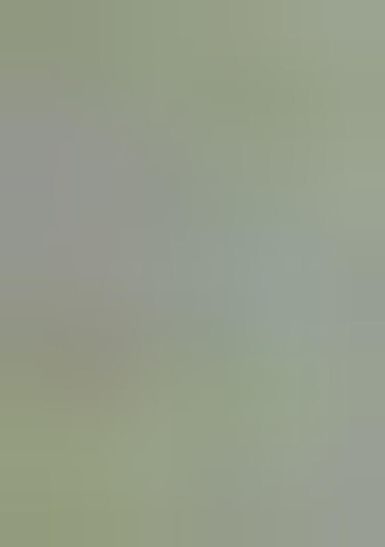 Aqua Embroidered Cotton Saree Set - Indya