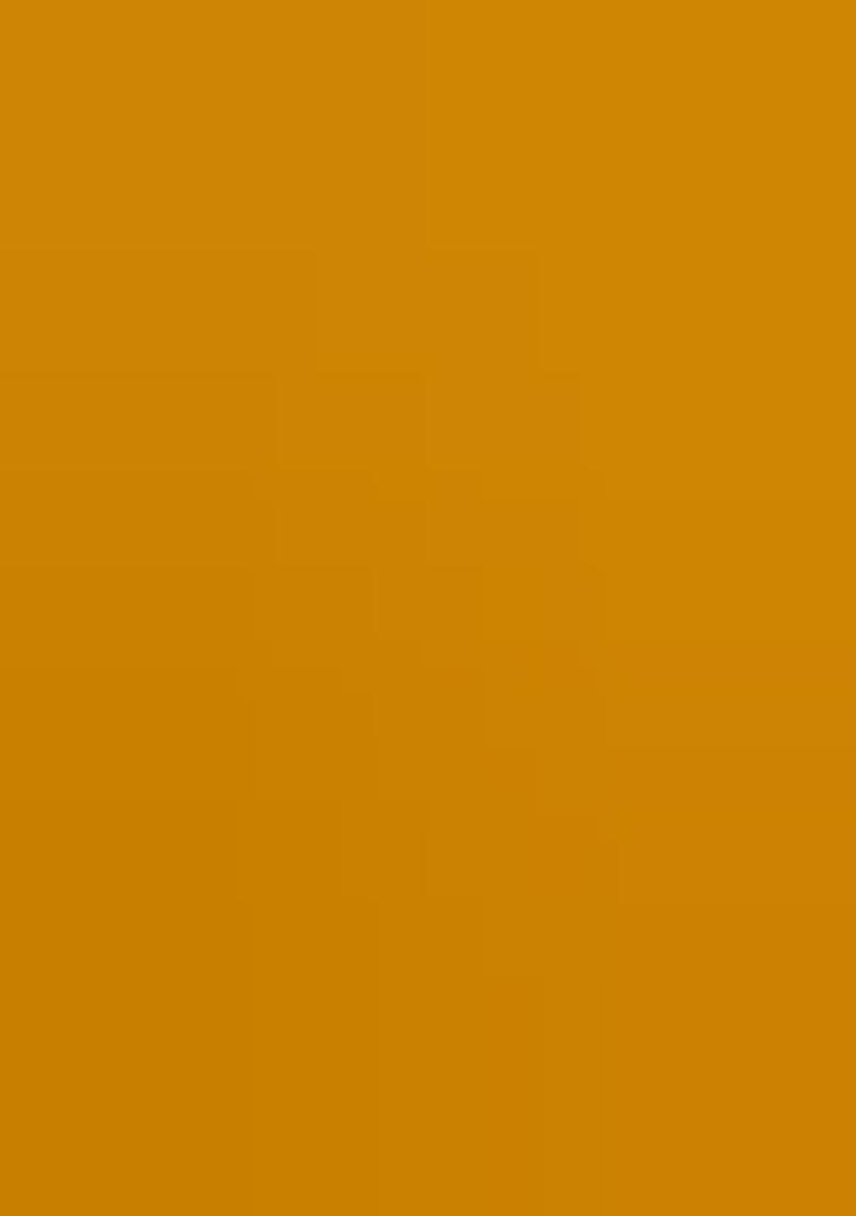 Mustard Embroidered Silk Saree Set