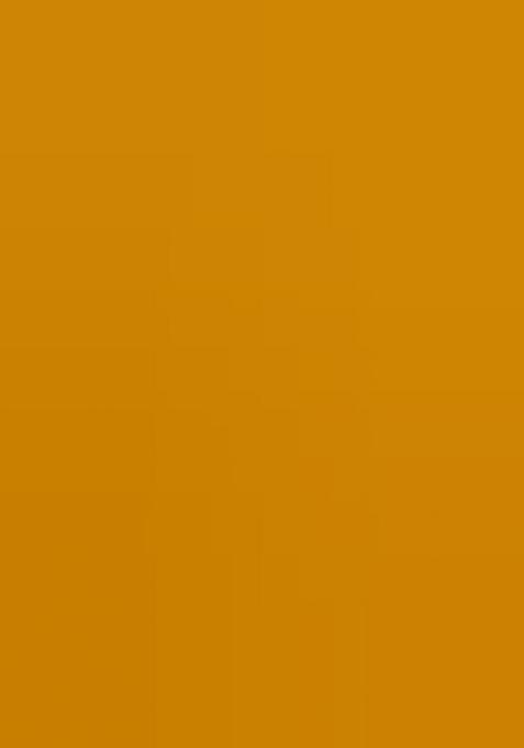 Mustard Embroidered Silk Saree Set