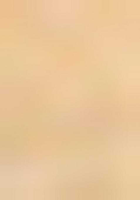 Khaki Embroidered Cotton Saree Set