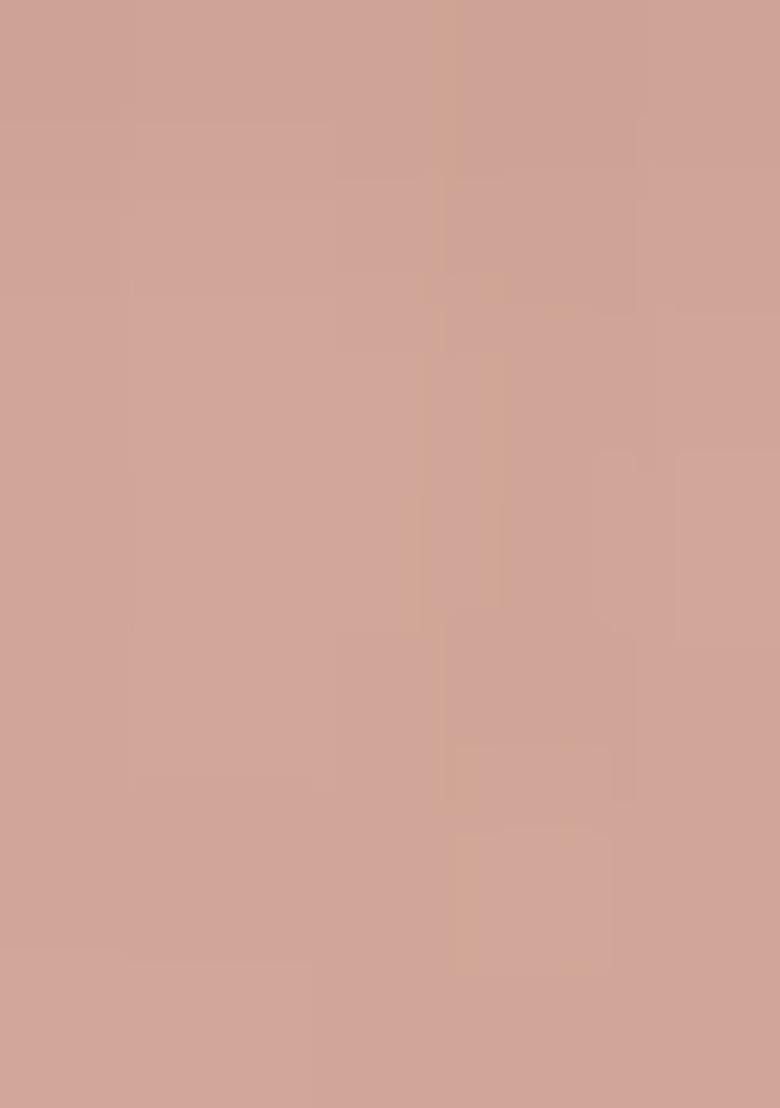 Peach Embroidered Net Saree Set