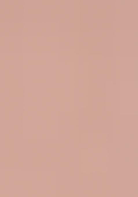 Peach Embroidered Net Saree Set