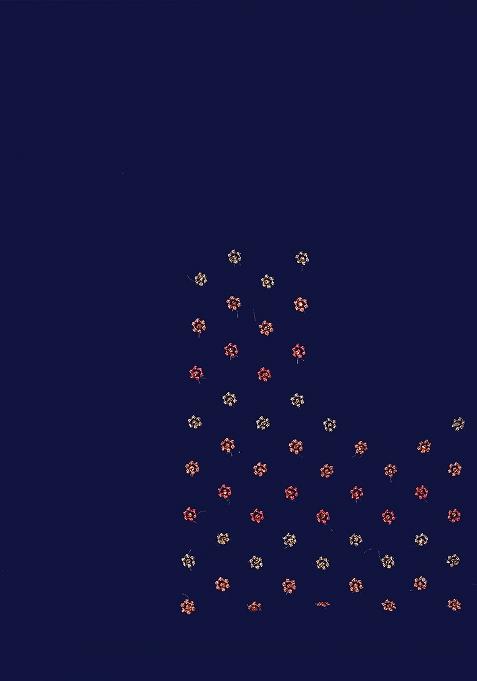 Navy Embroidered Net Saree Set