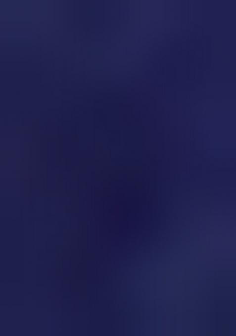 Navy Embroidered Net Saree Set