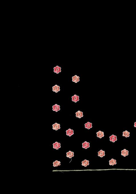 Black Embroidered Net Saree Set