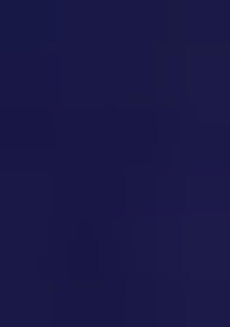 Navy Embroidered Net Saree Set