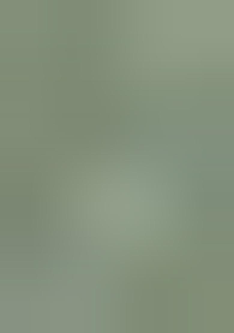 Dusty Pista Embroidered Tissue Crush Saree Set