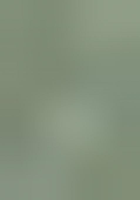 Dusty Pista Embroidered Tissue Crush Saree Set