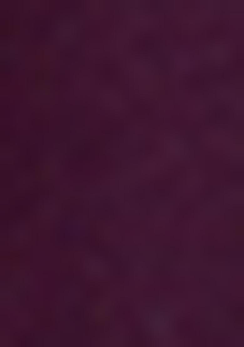 Wine Embroidered Georgette Saree Set