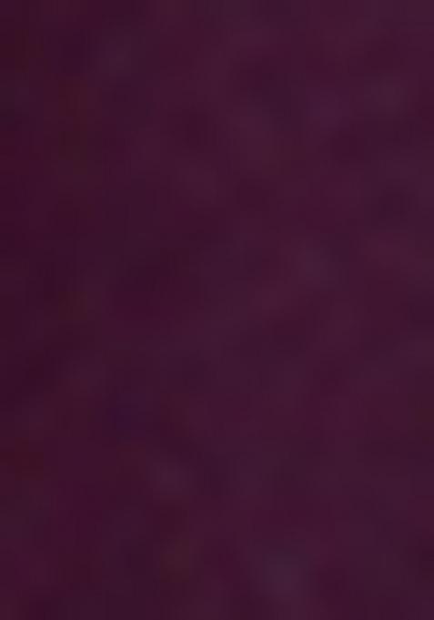 Wine Embroidered Georgette Saree Set