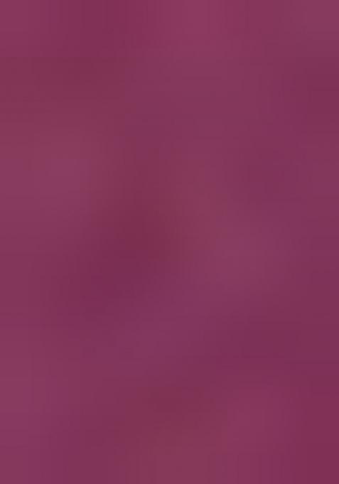 Dusty Wine Embroidered Chiffon Saree Set