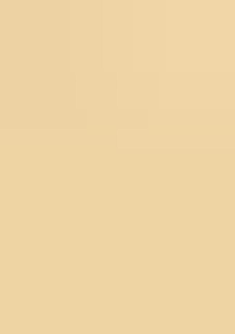 Light Yellow Embroidered Georgette Saree Set