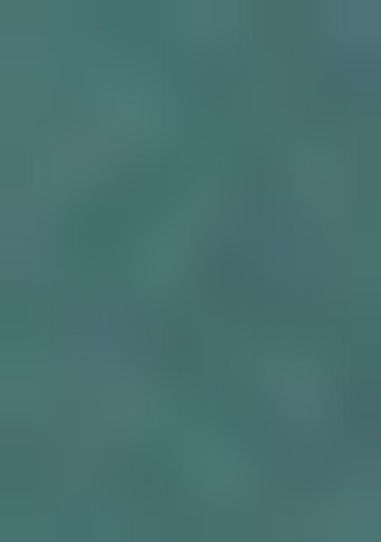 Dusty Bottle Green Embroidered Chiffon Saree Set