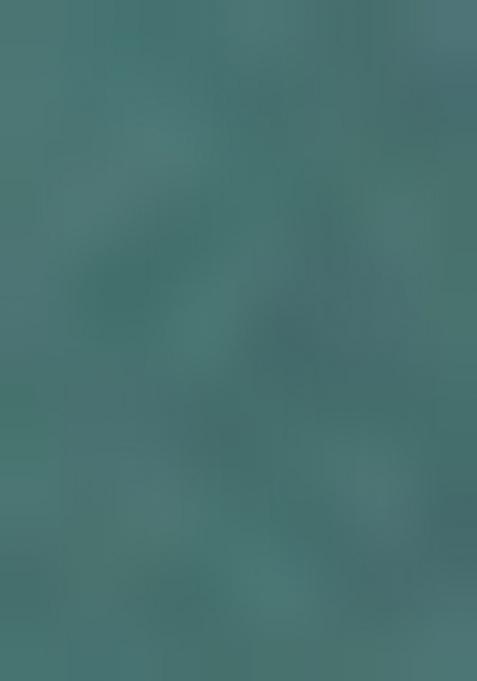 Dusty Bottle Green Embroidered Chiffon Saree Set