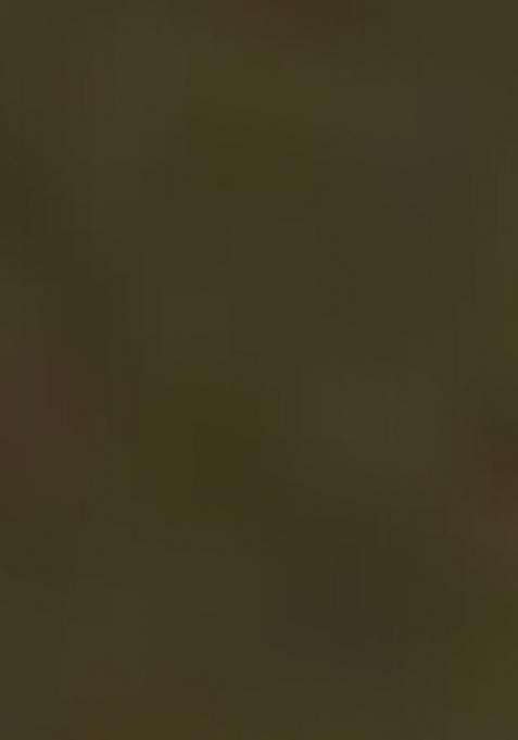 Green Embroidered Chiffon Saree Set