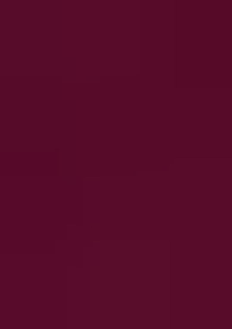 Wine Embroidered Chiffon Saree Set