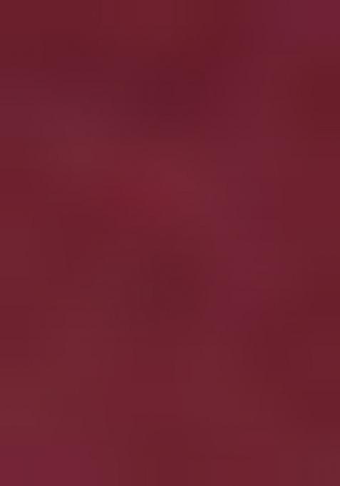 Dusty Maroon Embroidered Chiffon Saree Set