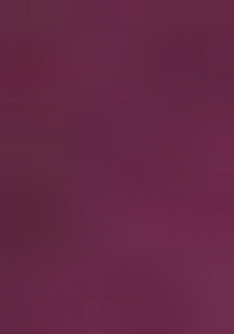 Dusty Wine Embroidered Chiffon Saree Set