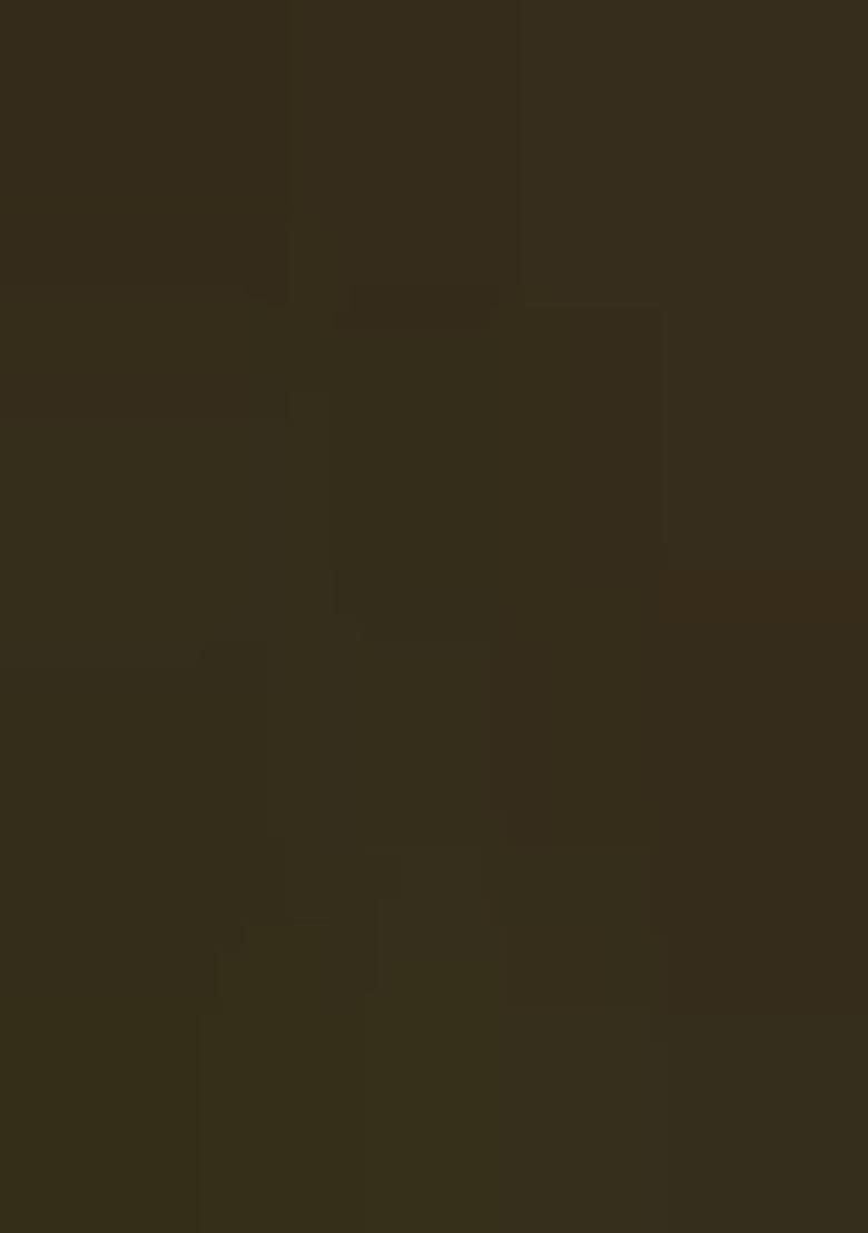 Green Embroidered Chiffon Saree Set