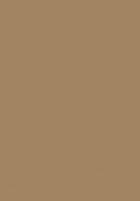 Light Beige Embroidered Cotton Saree Set