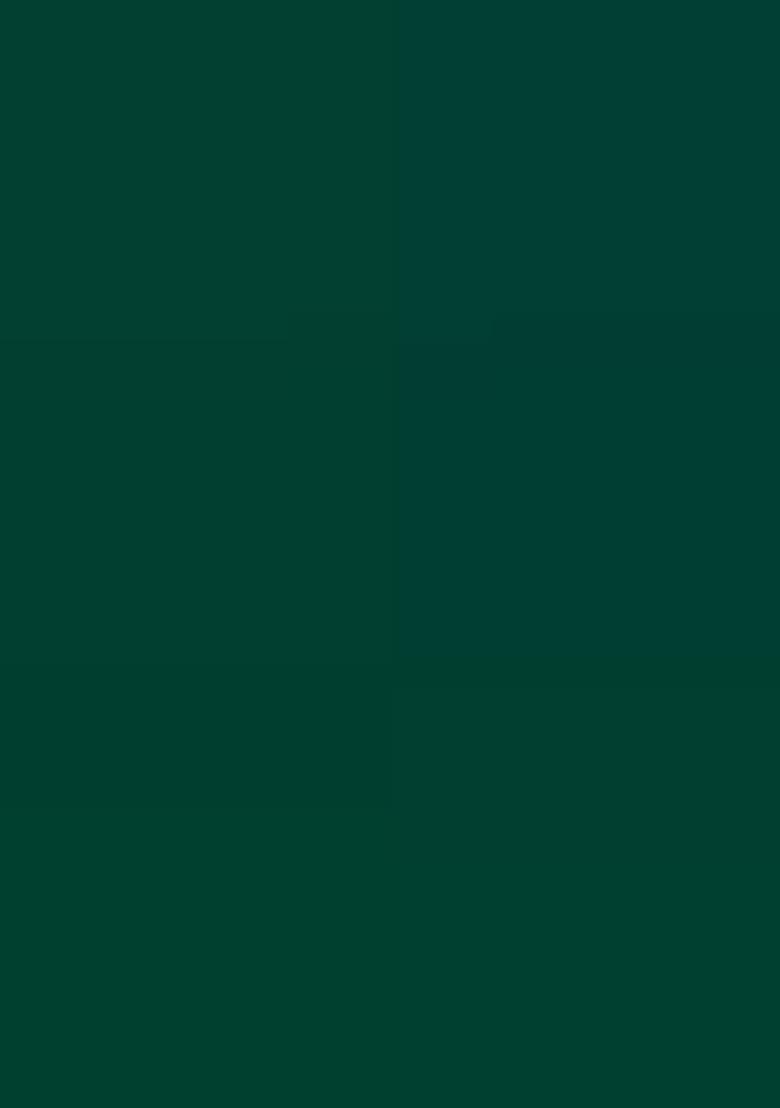 Green Jacquard Silk Saree Set