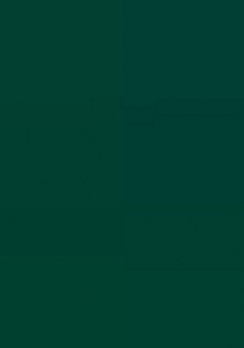 Green Jacquard Silk Saree Set